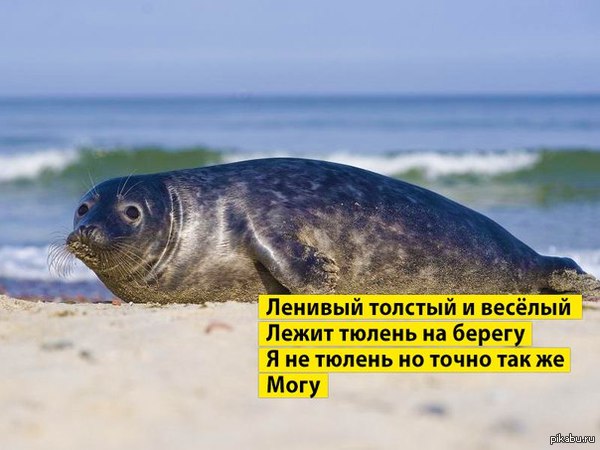 � �� ������,�� ���� ��� ����