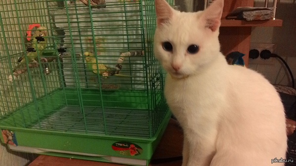 То чувство, когда не можешь проходить сквозь предметы.