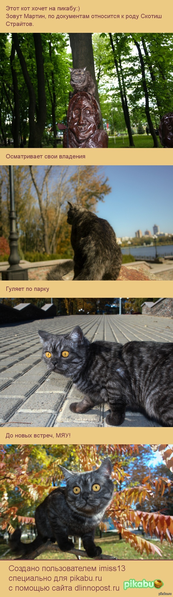 ���� ��� ����� �� ������ :)