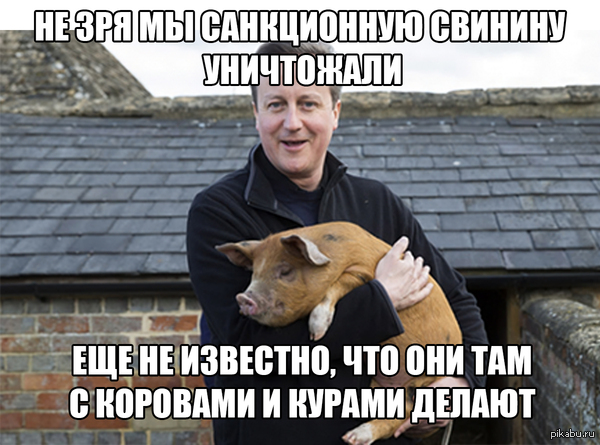 Не зря "санкционку" уничтожаем!