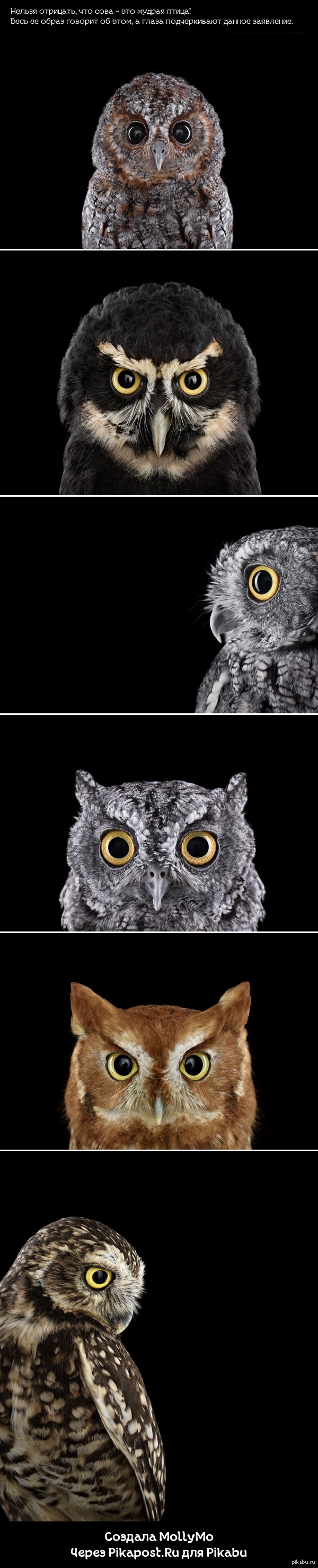 ���������� ��������!