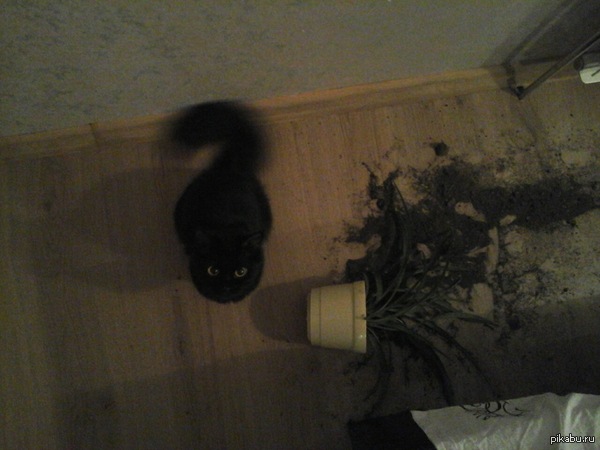 ��� �� � , �� ��� ������?