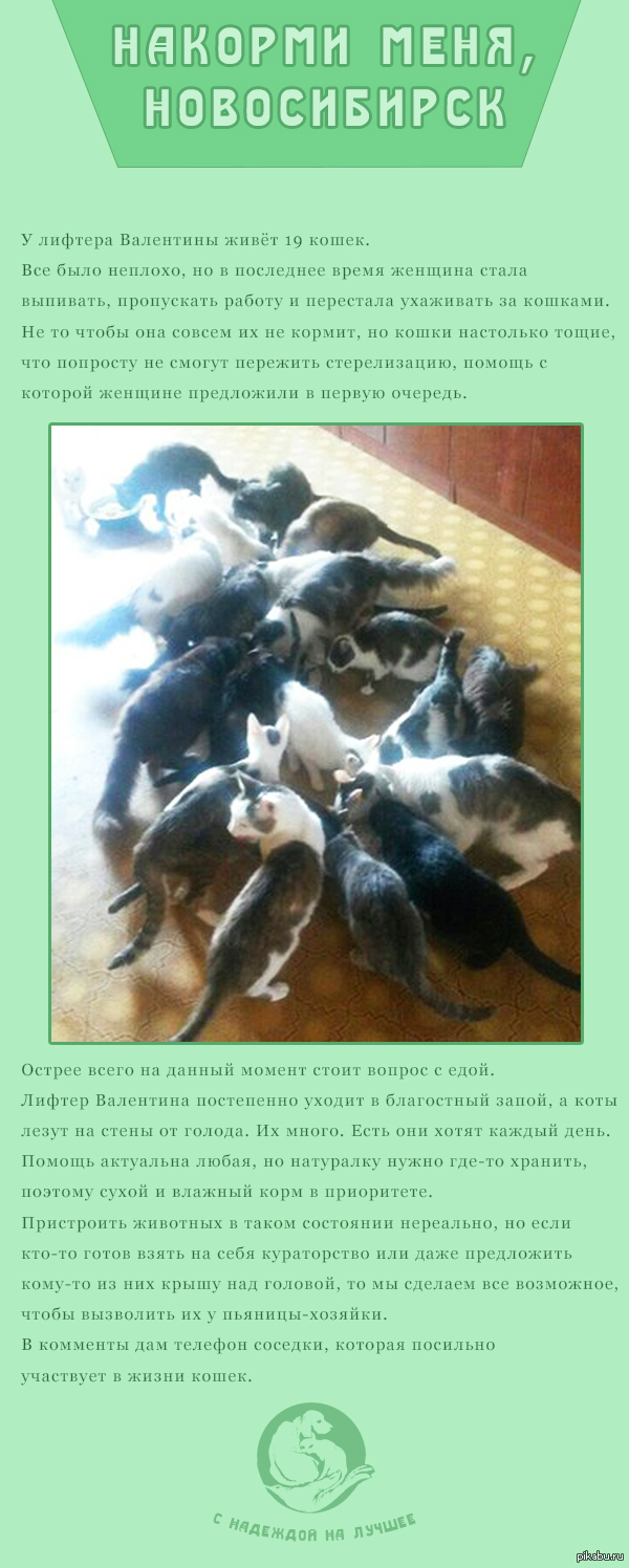 ������� ����