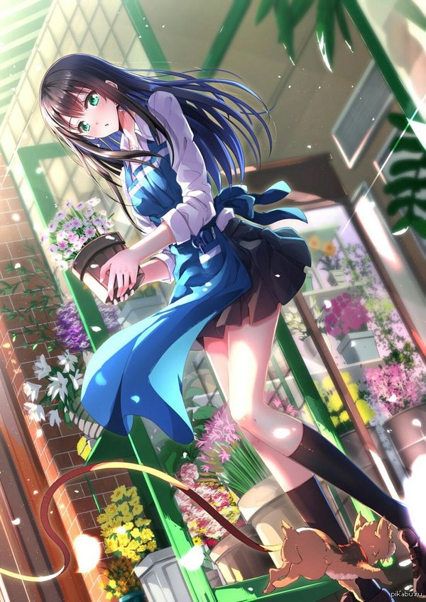   #49 : http://ip1.anime-pictures.net/jvwall_images/456/456ae1528672643d464cb474c61efc71_bp.png