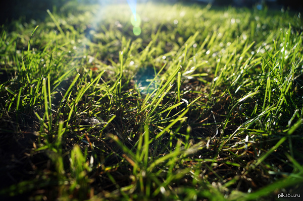 ������� ��� ���������