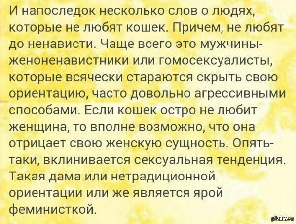 Открытка для тех, кто против котиков на пикабу)