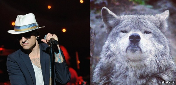 ����� ������� ���� � Stone Temple Pilots