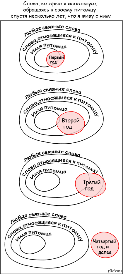 ����� ��� ��������