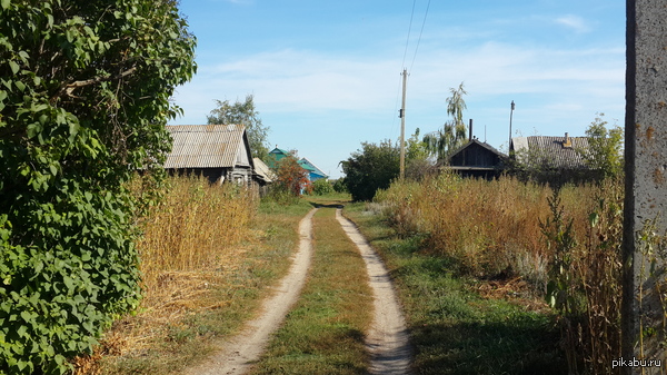 ������ ����.