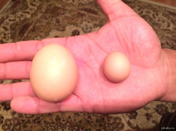 ������� �����