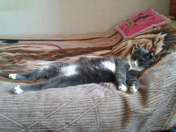 Спит аки человек