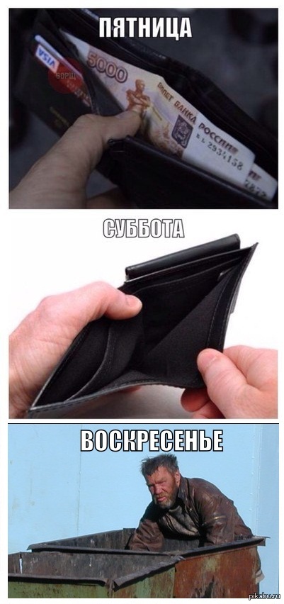 ������ ���������