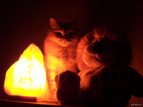 ���������� ����� �������.