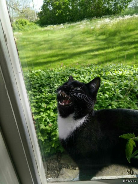 ��� ����� ����� ��� ��������