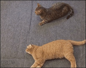  , ,  . 