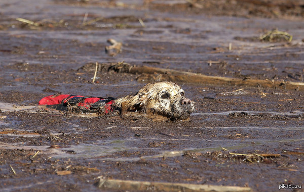 ��������-������������ ������ ���� ����� ���������� � ���� ����, ���� ���