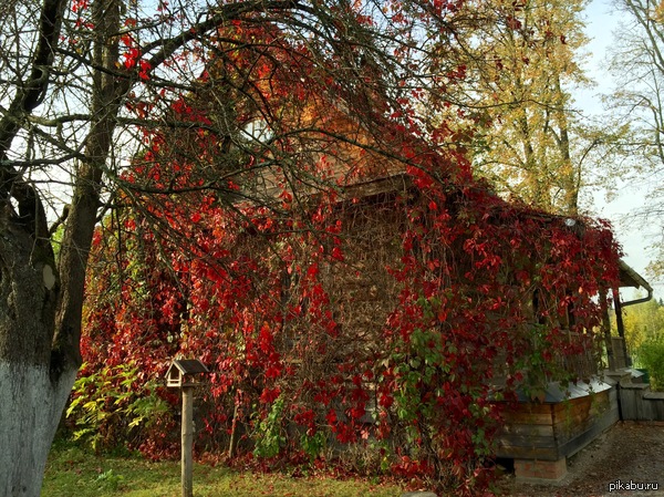 ��������� ������ ������ ����� ����