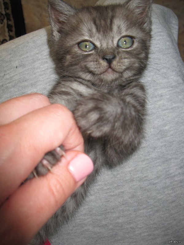 ������ ����!!!)