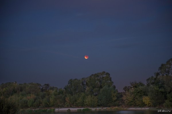 ������ �������� ����