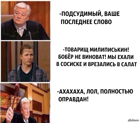 Товарищ милиписькин бобер не виноват мы ехали в сосиске и врезались в салат