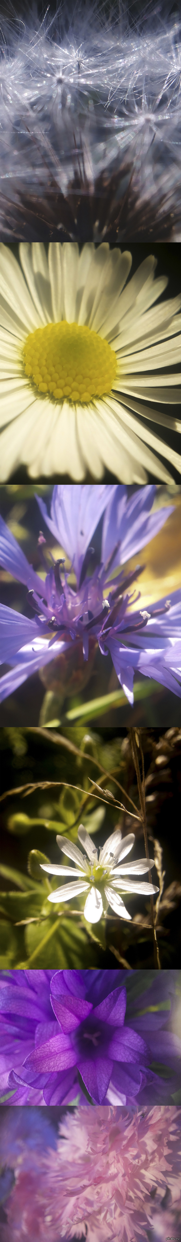 ���� ������ �����-���� � ����� ������ � �������