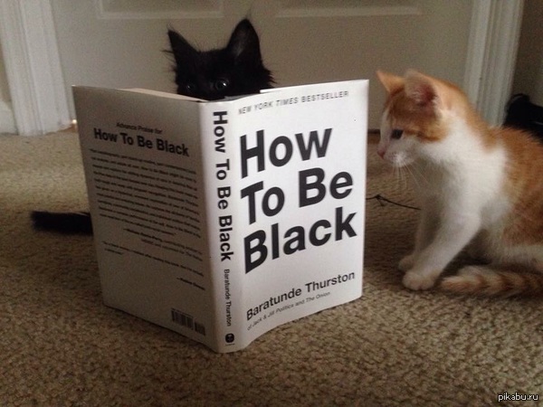 ��� ���� ������