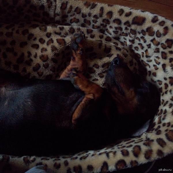 ����� ���� ����