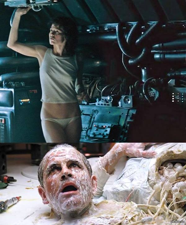 Рипли знает толк в lowleg panties