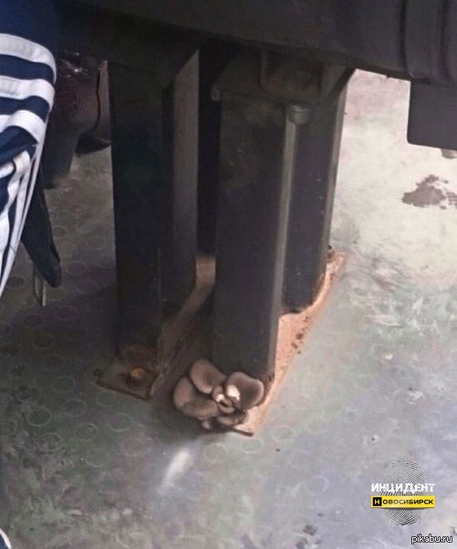 ������ ����������, ������ � ��������� ������������ ������ �����..