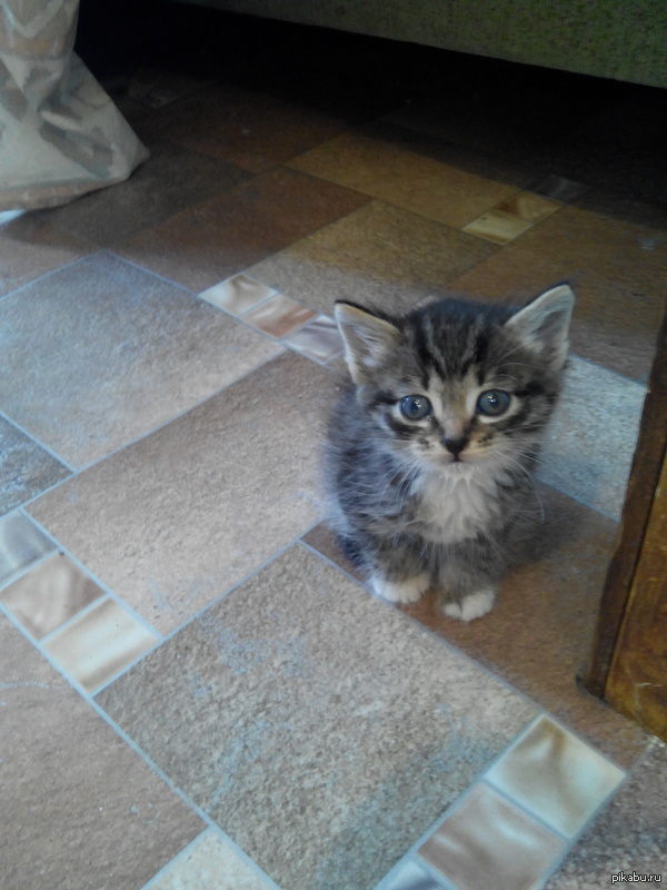 ����� � �����, ����� �����)