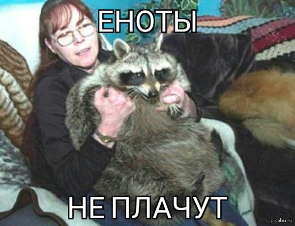 ������� �� ������