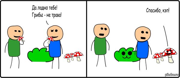 Грибы - не трава