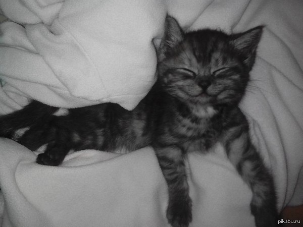 ���� ������!