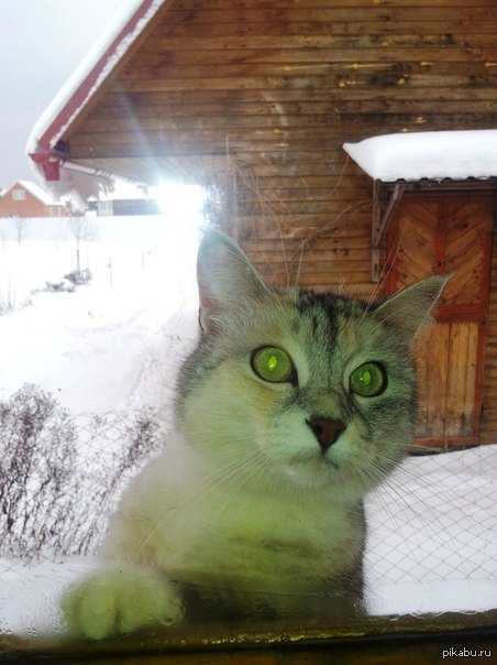 Саня, открой!