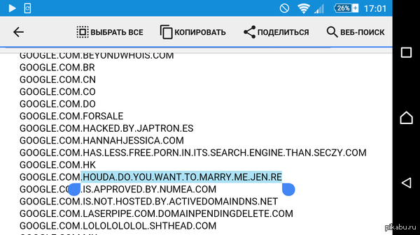      google.com   