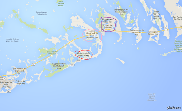  -   ,     .  https://www.google.ru/maps/@24.6263622,-81.55656,12.54z?hl=ru