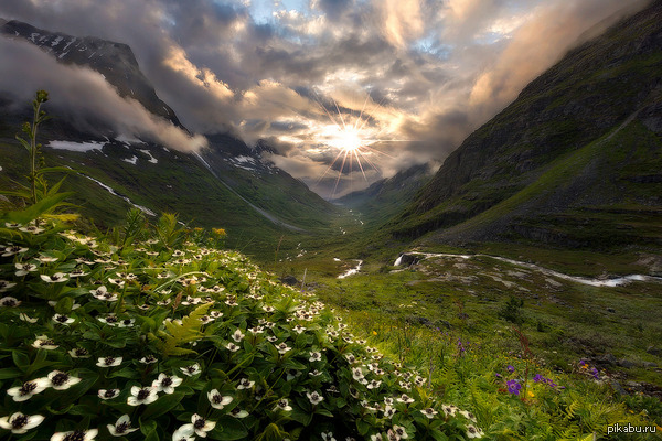      Innerdalen, Norway. : Haakon Nygard