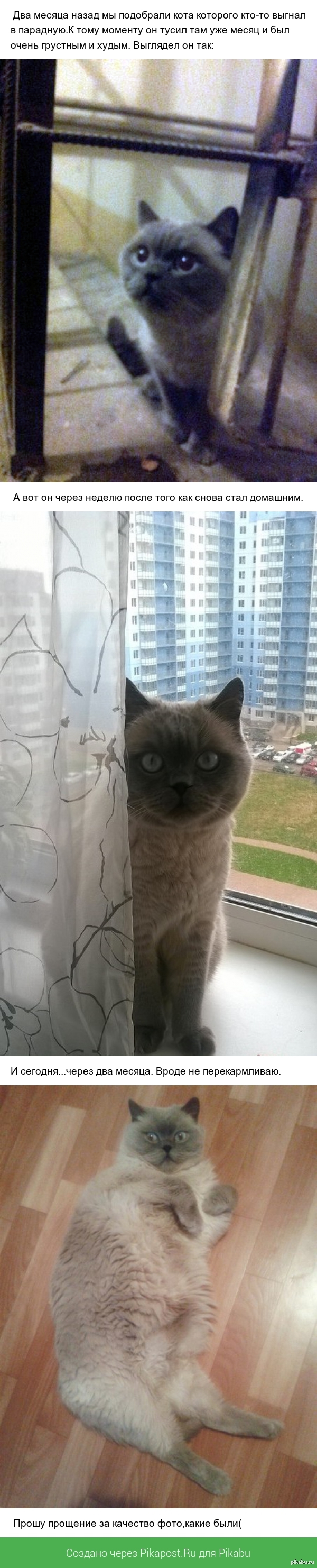 Не голодает.