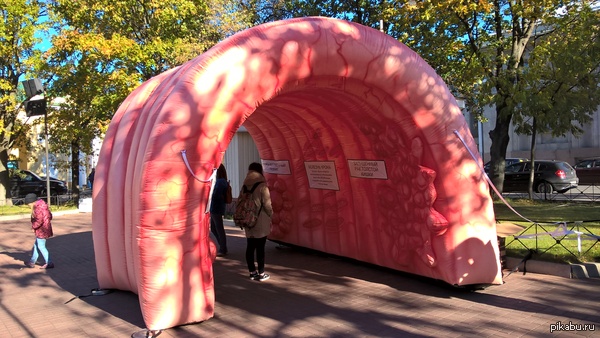 Как вы думаете, что это такое?