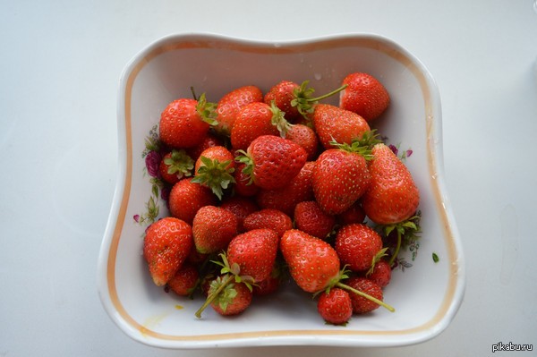 ������� ����� -3. ���� 03.10.2015