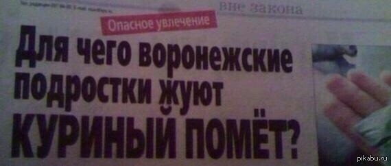 Поднимает настроение, улучшает аппетит | Пикабу
