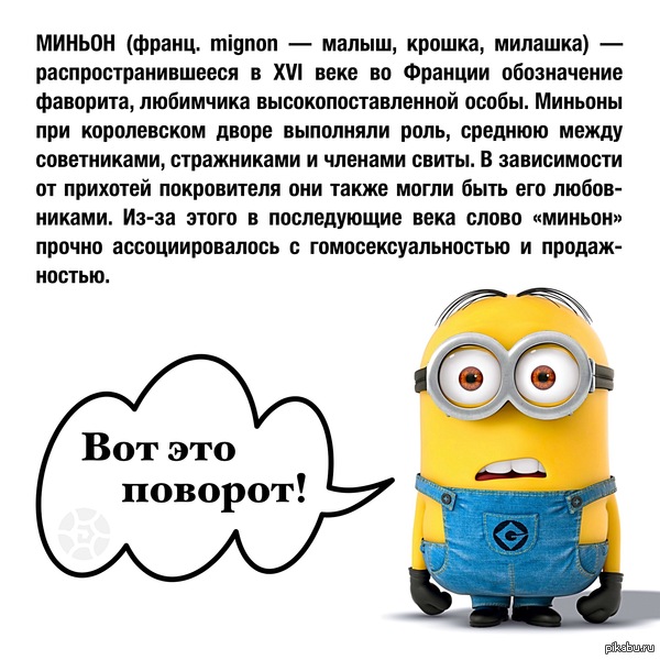  ,  )  -  -, -      -      .