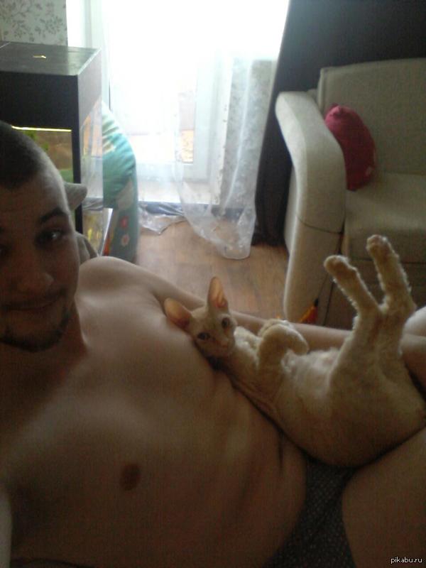 Котозаяц, или зайцекот?