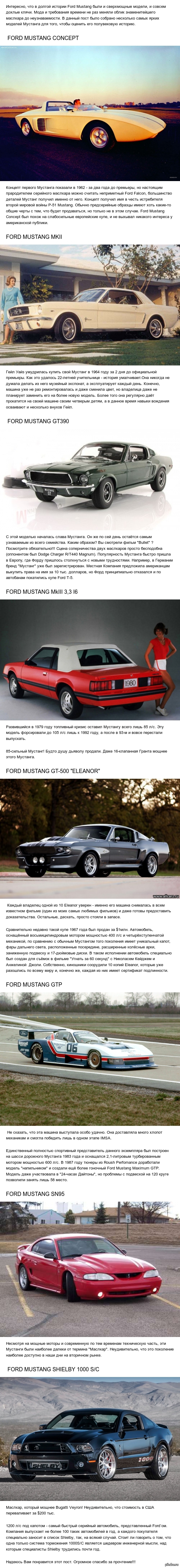 50   Ford Mustang  8 . 