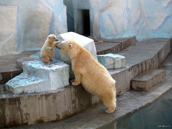 ������ ������������� �����