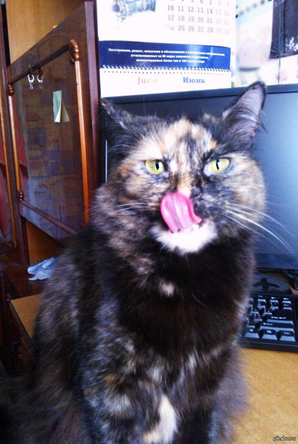 ������� ����