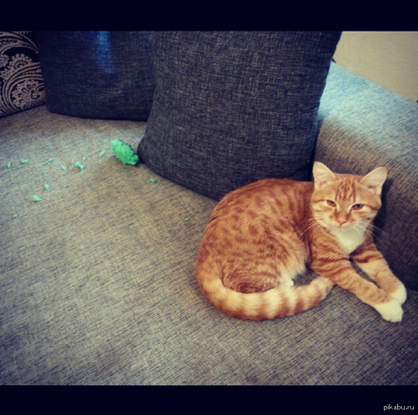 Даже не знаю, кто бы мог это сделать