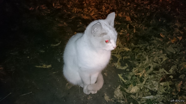 ����� ������,���� ��������,���������,����� �������� ��� ������ ����� ��� ����� ���