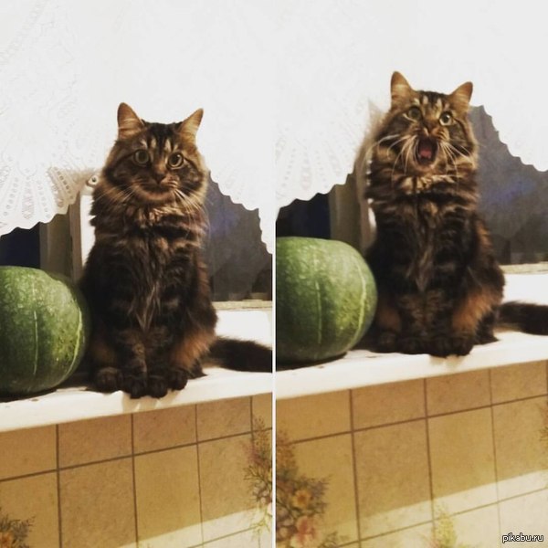 ����� � ����� � �����