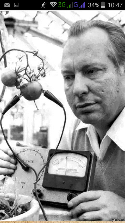 ������ ��� ��������� ����, ����� ���� ���������� ��������.